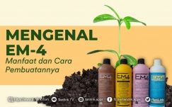 Mengenal EM4, Manfaat dan Cara Pembuatannya