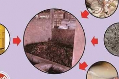 Jurus Sederhana Membuat Pupuk
