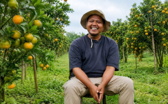 Mantan Arsitek Sulap Lahan Desa 7 Hektar Jadi Agrowisata Petik Jeruk Viral! Ini Rahasia Tana Merapi Farm