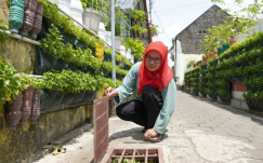 Cara Cerdas Atasi Sampah di Lahan Sempit: Inovasi Biopori Jumbo Ala Warga Jogja