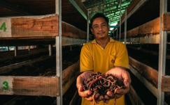 Ubah Limbah Jadi Emas: Cara Sukses Produksi Vermikompos Premium untuk Pertanian Berkelanjutan