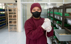 Kisah Sukses Sugino: Ubah Tikus Menjadi Cuan, Suplai Kebutuhan Farmasi Seluruh Indonesia.