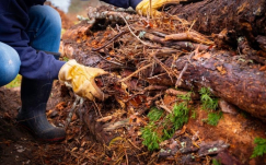 Mengenal Hugelkultur, Teknik Bertani Alami ala Jerman yang Bikin Tanah Subur Tanpa Ribet