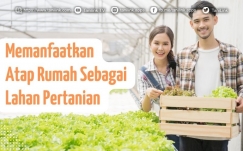 Pemanfaatan Atap Rumah sebagai Lahan Pertanian