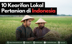 Kenali 10 Kearifan Lokal Tradisi Pertanian di Indonesia