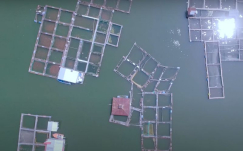 Hasil 3 Tahun Puasa, Kini Miliki 80 Petak Keramba Ikan Nila dan Ikan Patin di WGM