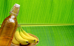 Tanaman Sehat dan Subur Dengan Cuka Pisang, Begini Cara Membuatnya
