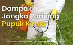 Apa yang Akan Terjadi Jika Menggunakan Pupuk Kimia Selama Puluhan Tahun?