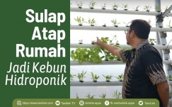 Membuat Kebun Hidroponik di Atap untuk Suplai Sayur dan Buah