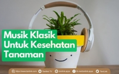 Cara Nyleneh Biar Tanaman Sehat