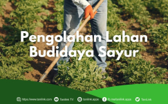 Mengenal Jenis-Jenis Pengolahan Lahan untuk Budidaya Sayur