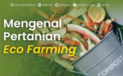 Yuk Kenalan Sama Eco-Farming, Sistem Pertanian Pelindung Alam!