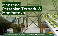 Perapkan Pertanian Terpadu. Apa Saja Manfaatnya?