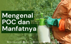 Mengenal POC : Apa Saja Manfaatnya Bagi Tanaman?