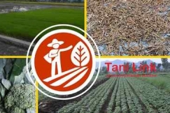 Mengenal Nutrisi Tanaman