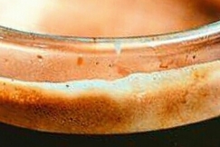 Kenapa Crema Dicari Penikmat Espresso?
