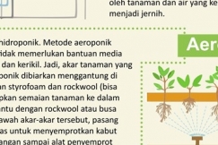 INFOGRAFIS: 5 Metode Urban Farming Yang Menarik Untuk Dipraktekan