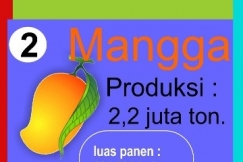 INFOGRAFIS : Inilah Buah-Buahan Yang Paling Banyak di Indonesia