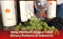 Wine Premium Anggur Lokal, Winery Pertama di Indonesia