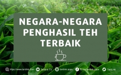 Ini Dia Negara â€“ Negara Penghasil Teh Terbaik di Dunia