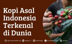 Inilah 4 Jenis Kopi Indonesia yang Terkenal di Seluruh Dunia