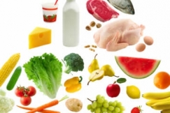Makanan Bergizi Tidak Harus Mahal