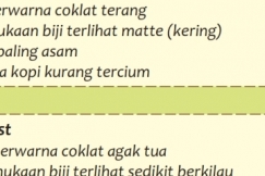 Pilih Kopi Light Roast Atau Dark Roast ?
