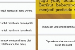 INFOGRAFIS : Tanaman Penghasil Pestisida Nabati