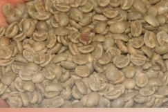 Penting! 4 hal Ini Harus Diperhatikan Saat Penyimpanan Greenbean Kopi