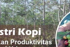 Selain Tingkatkan Produktifitas, Agroforestri Kopi Bantu Serap Polusi Udara