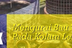 Sistem Bioflok Mengurangi Bau Tak Sedap Pada Kolam Lele