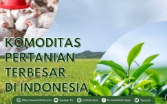 Inilah Kebutuhan Komoditas Pertanian Terbesar di Indonesia
