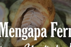 Mengapa Fermentasi Penting untuk Kakao?