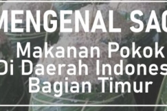 Mengenal Sagu, Makanan Pokok Di Daerah Indonesia Timur
