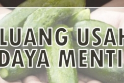 Peluang Usaha : Budidaya Mentimun