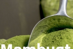 Tips Membuat Bubuk Daun Kelor (Moringa Oleifera)