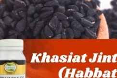 Khasiat Jintan Hitam atau Habbatussauda untuk Kesehatan