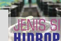 Mengenal 5 Jenis Sistem Hidroponik