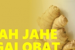 Berbagai Manfaat Rempah Jahe Sebagai Obat Tradisional 