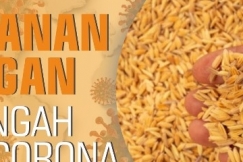 Ketahanan Pangan Di Tengah Virus Corona