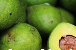 5 Manfaat Alpukat untuk Kecantikan, dari Kulit sampai Rambut