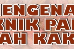 Mengenal Teknik Panen Buah Kakao