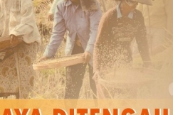 Petani Siap Panen Raya di Tengah Pandemi COVID-19