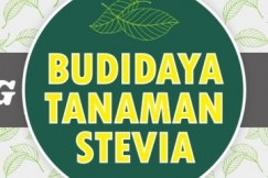 Peluang Usaha : Manisnya Budidaya Stevia