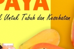 Pepaya Mengandung Vitamin Terbaik untuk Kecantikan dan Tubuh