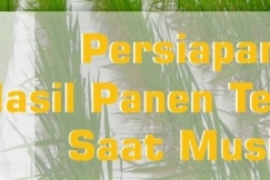 Siapkan Hal-Hal Berikut Agar Hasil Panen Tetap Baik Saat Hujan Tiba
