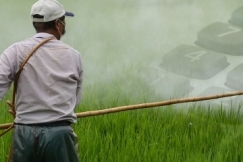 Supaya Biaya Usaha Tidak Membengkak, Gunakan Pestisida Dengan Benar