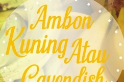 Mirip, Ini Perbedaan Pisang Ambon Kuning dan Pisang Ambon Putih (Cavendish)
