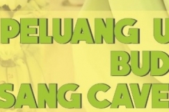 Peluang Usaha : Budidaya Pisang Cavendish