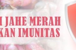 Konsumsi Jahe Merah Tingkatkan Imunitas